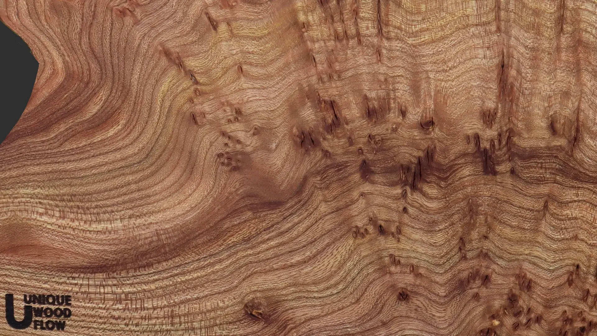 Massivholz Epoxidharz Manufaktur -Unique Woodflow- Bayerischer Wald - Holzart Maserulme